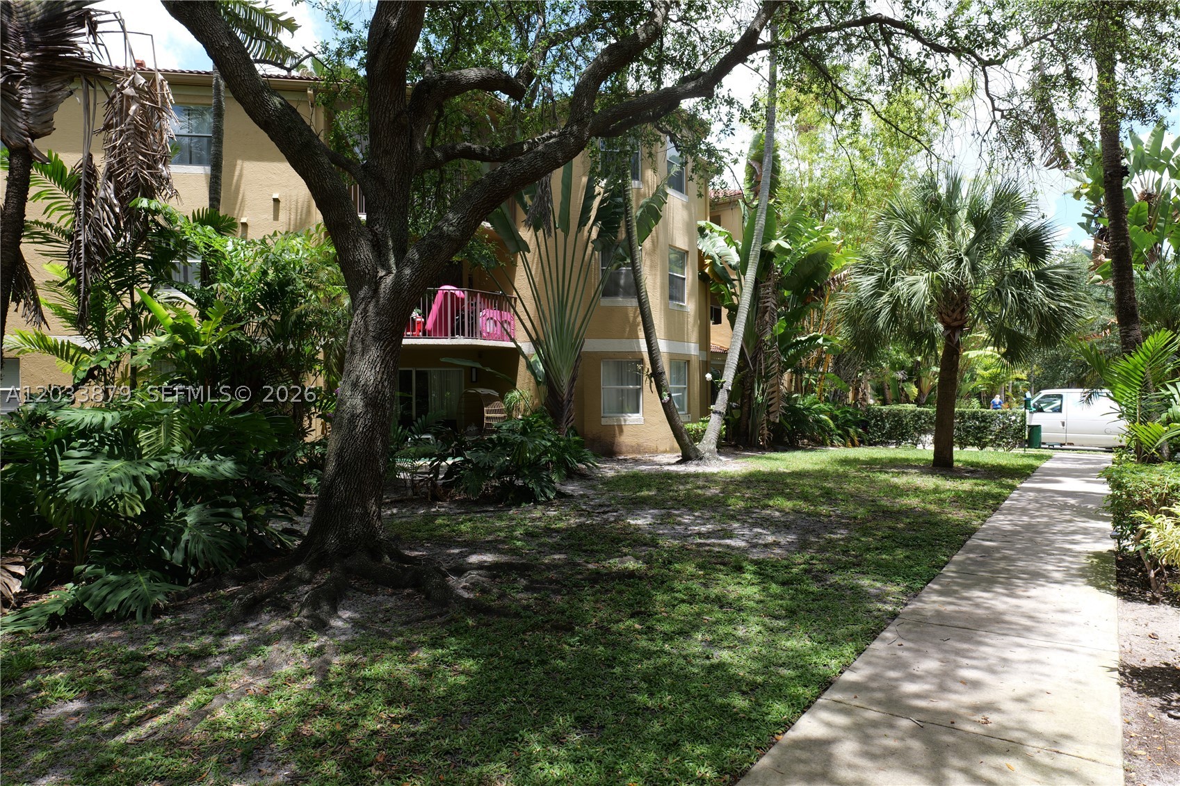 Plantation photo 4