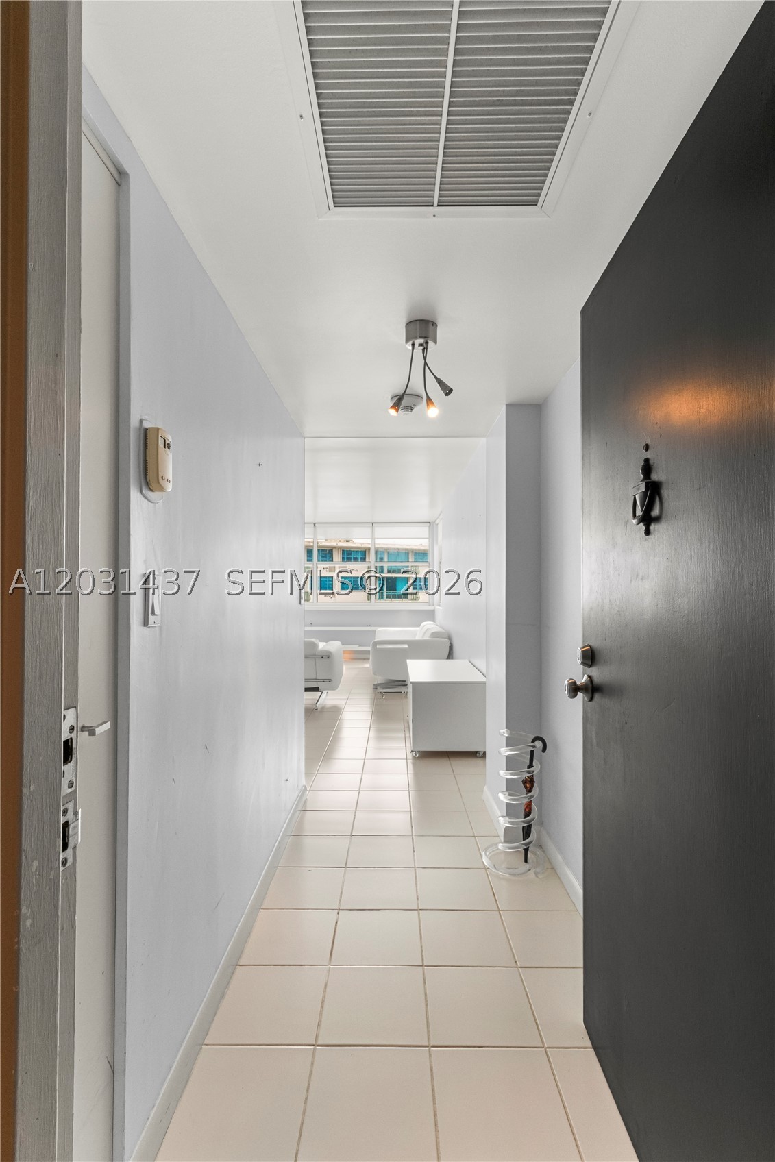 Miami photo 2