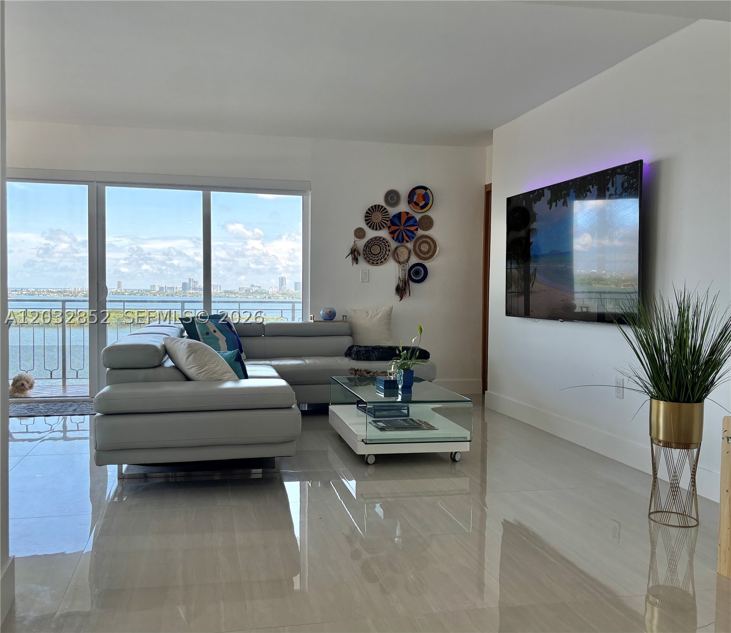 Miami photo 5