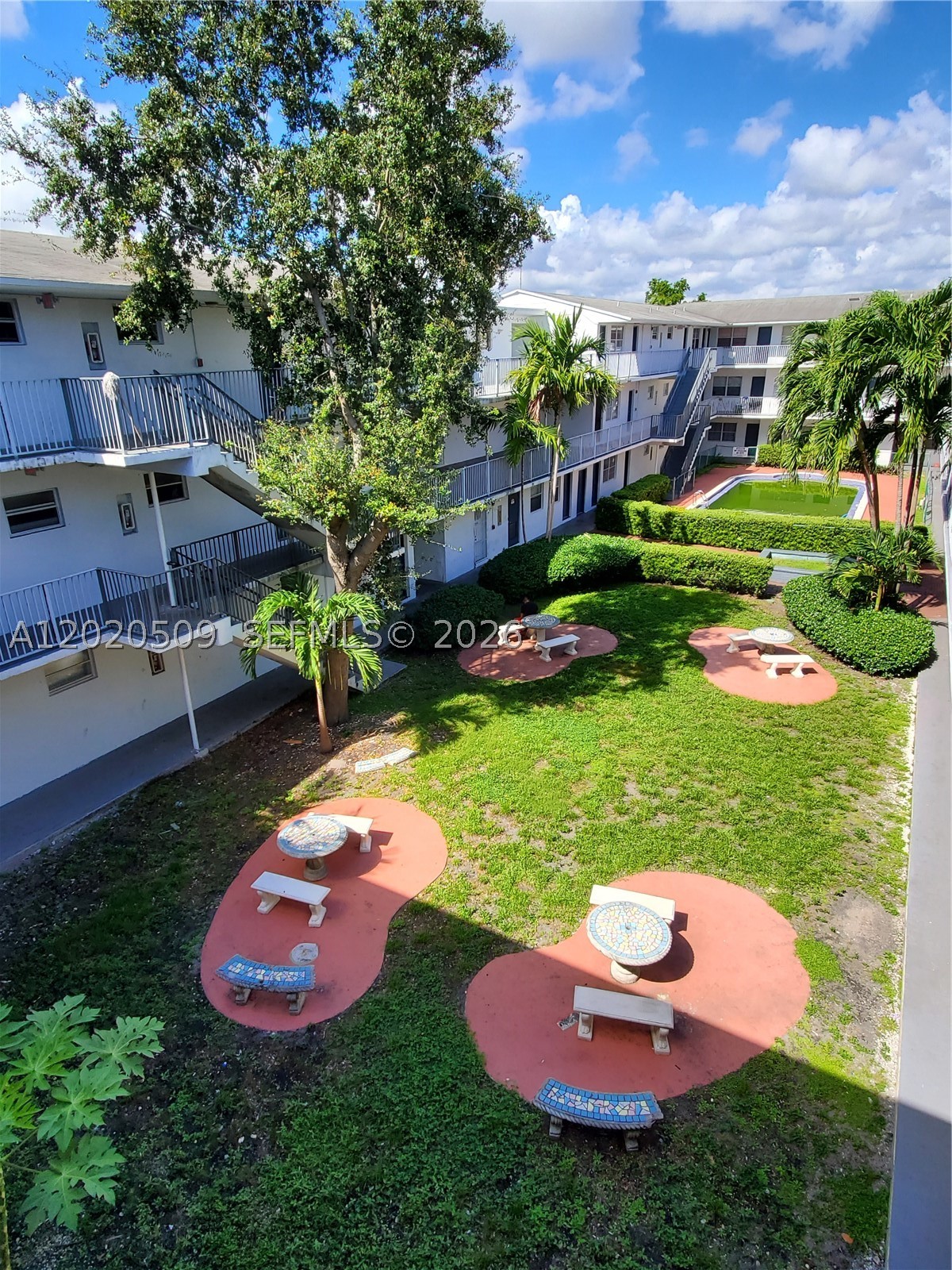 North Miami photo 2