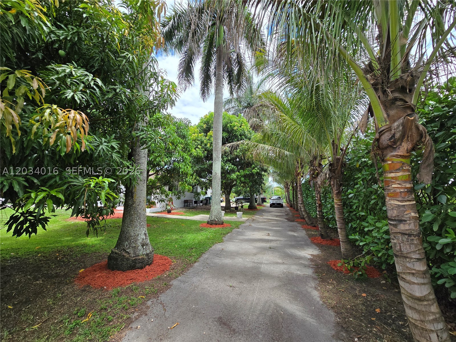 Miami photo 3