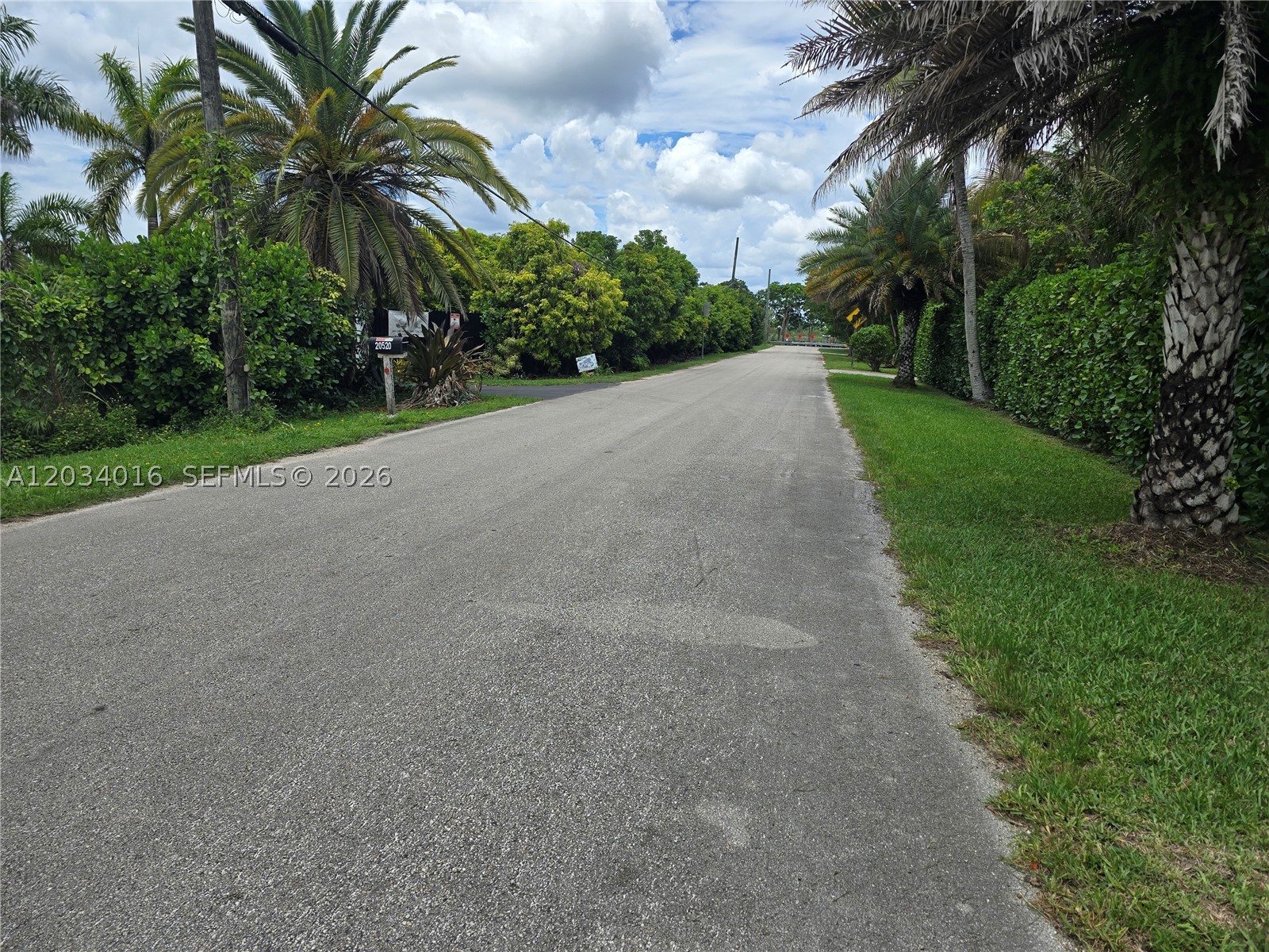 Miami photo 5