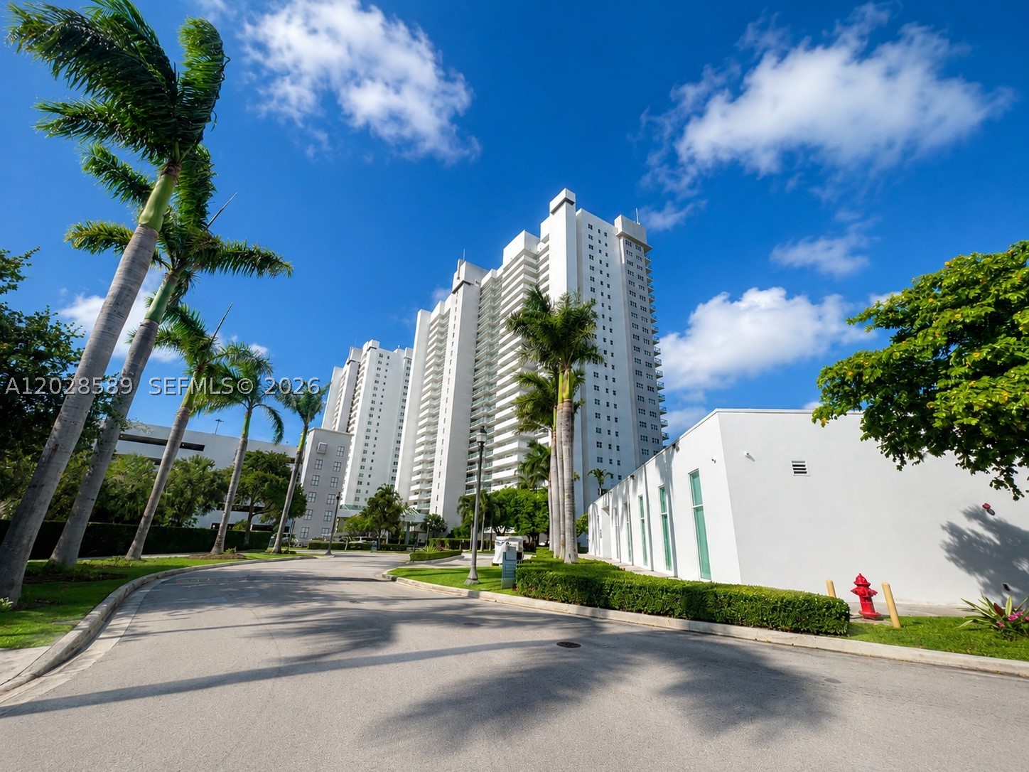 North Miami photo 3