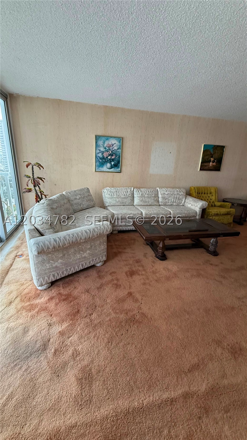 Sunny Isles Beach photo 2