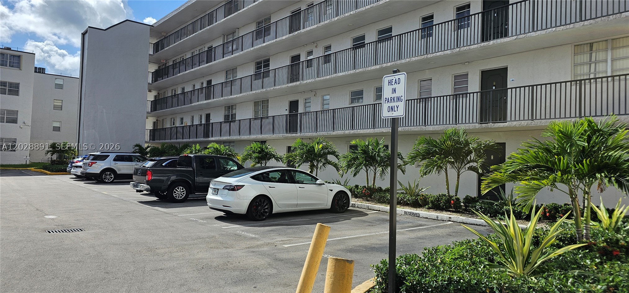 Miami photo 2