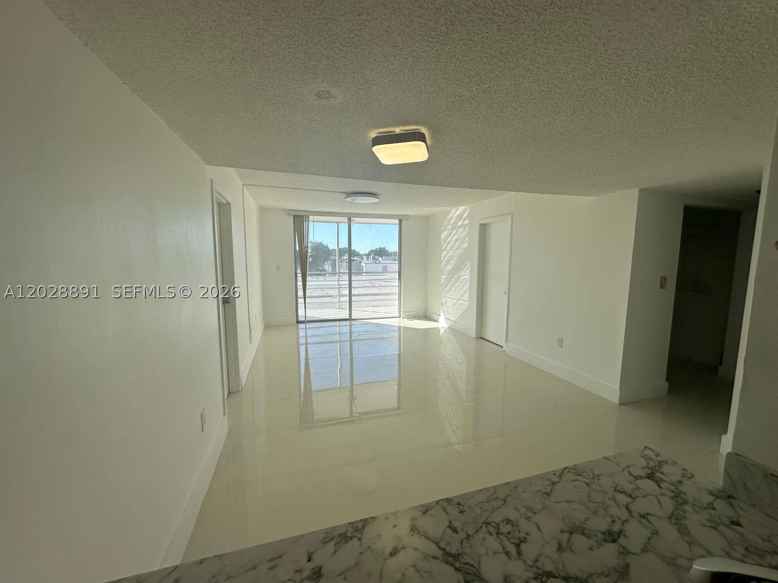 Miami photo 5