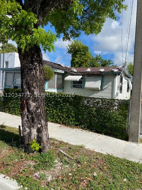 Miami photo 2