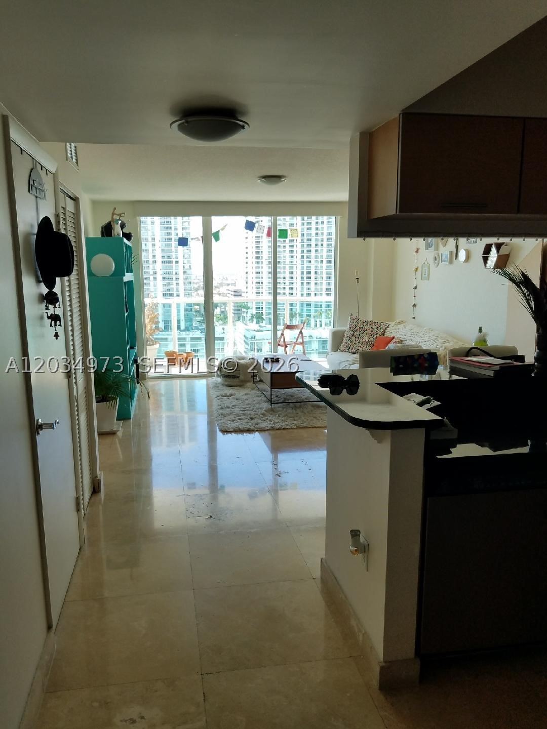 Miami photo 4