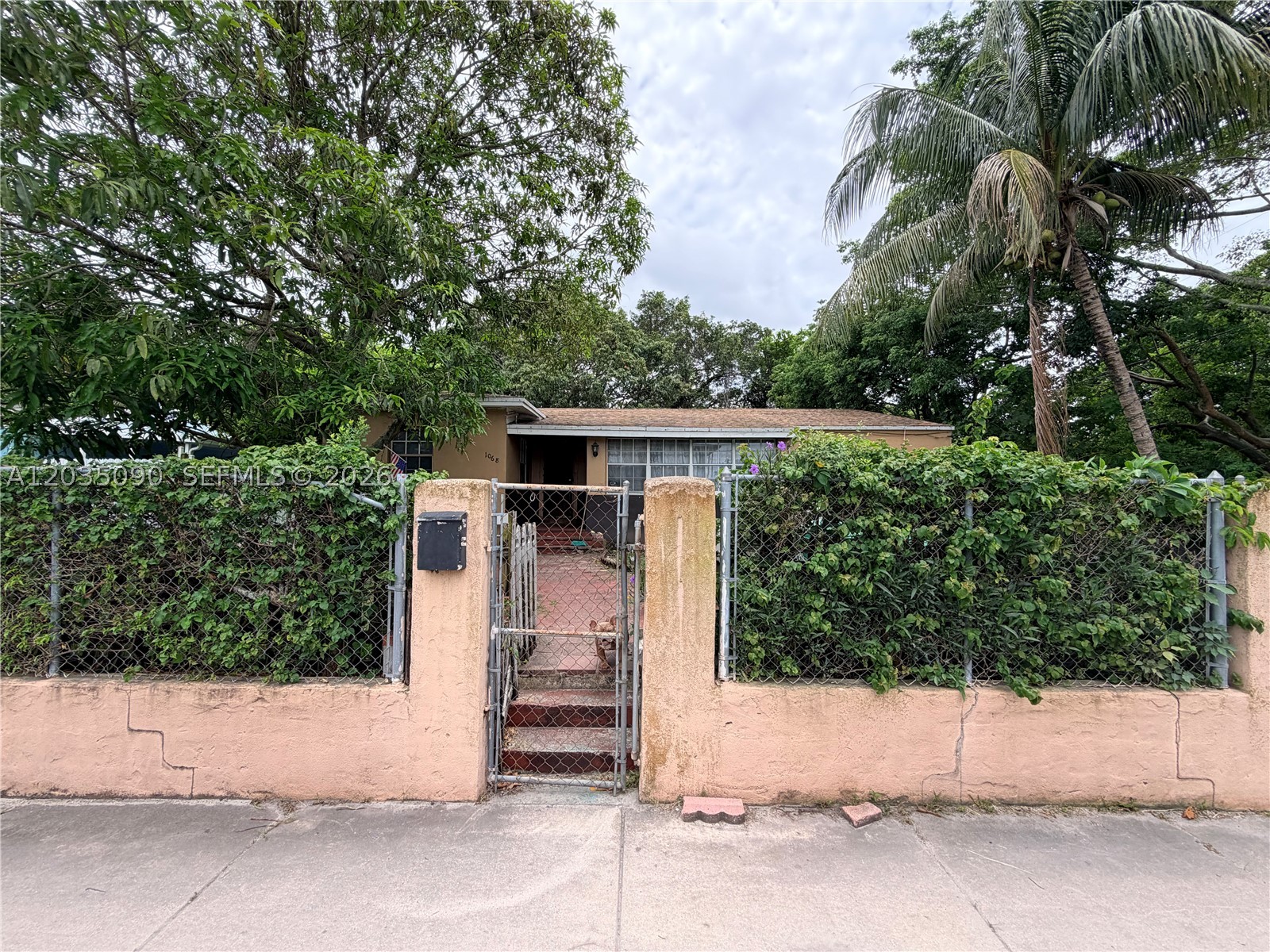 Miami photo 1