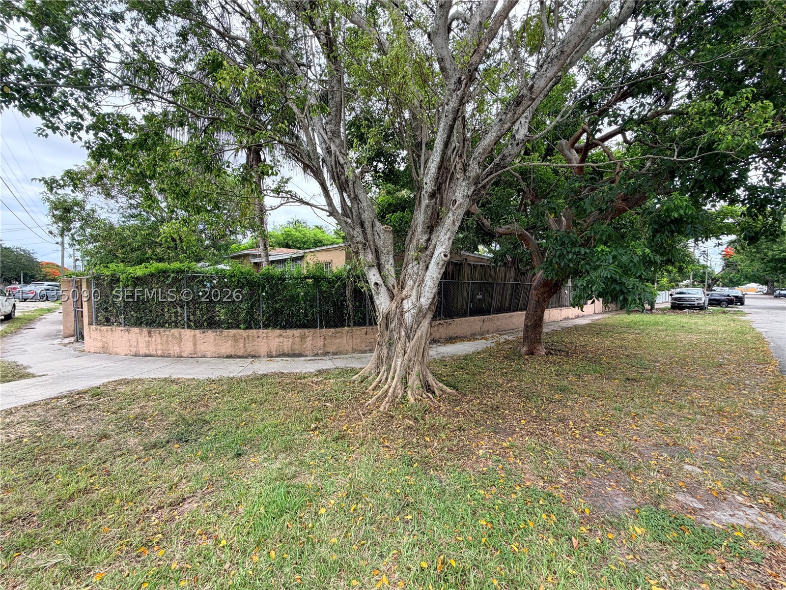 Miami photo 4