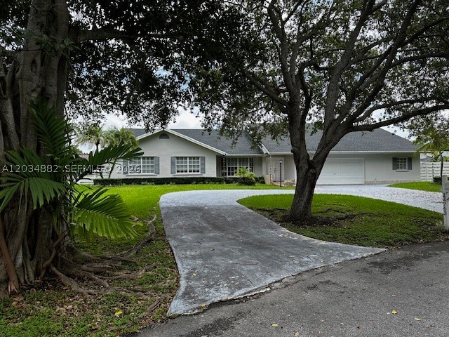Miami photo 1