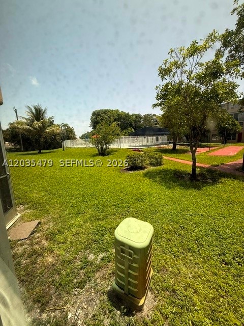 Miami photo 1