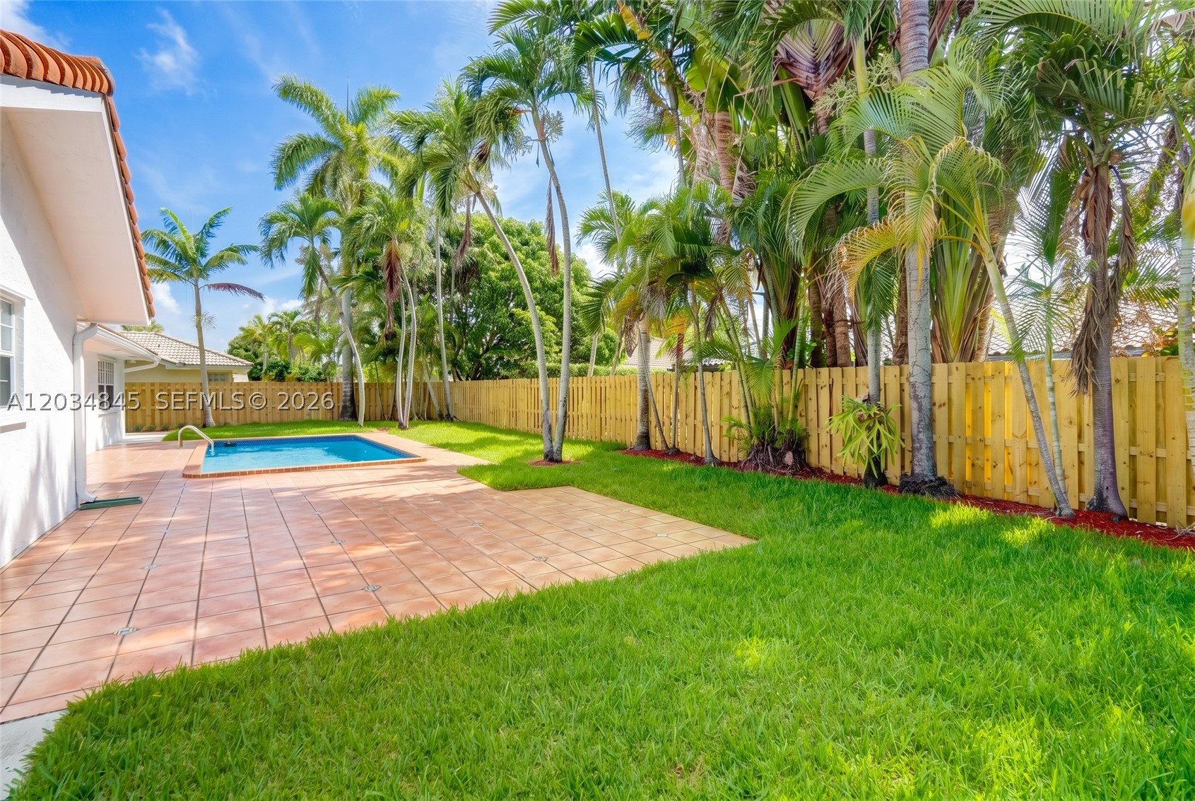 Miami photo 4