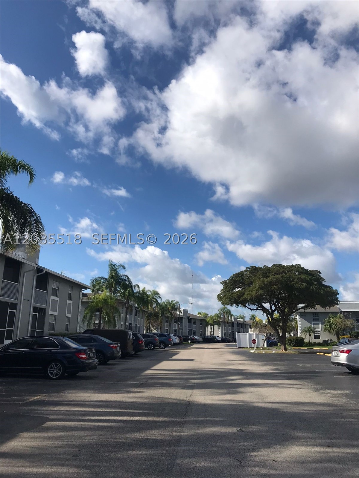 Miami photo 2
