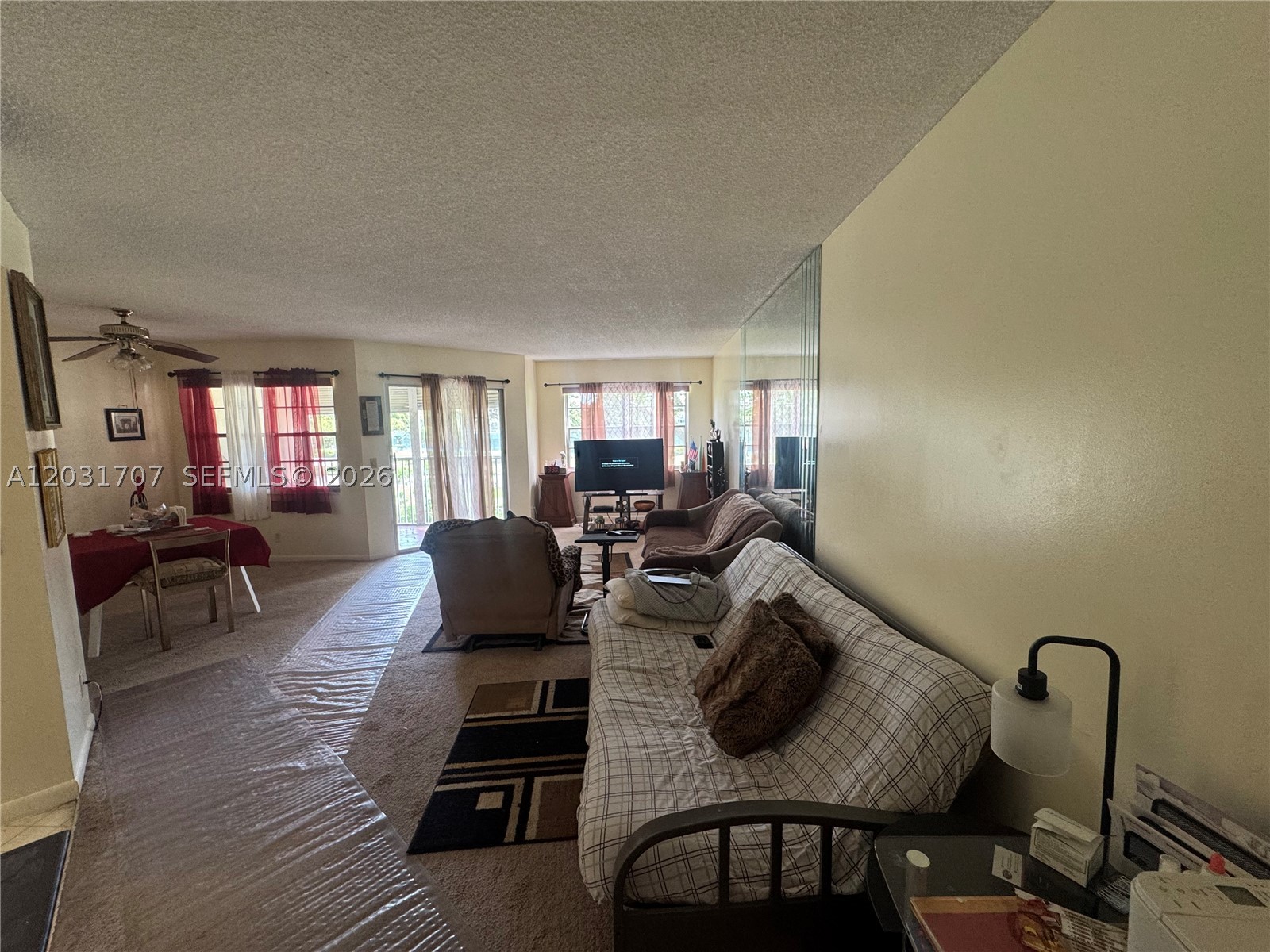 Pembroke Pines photo 4