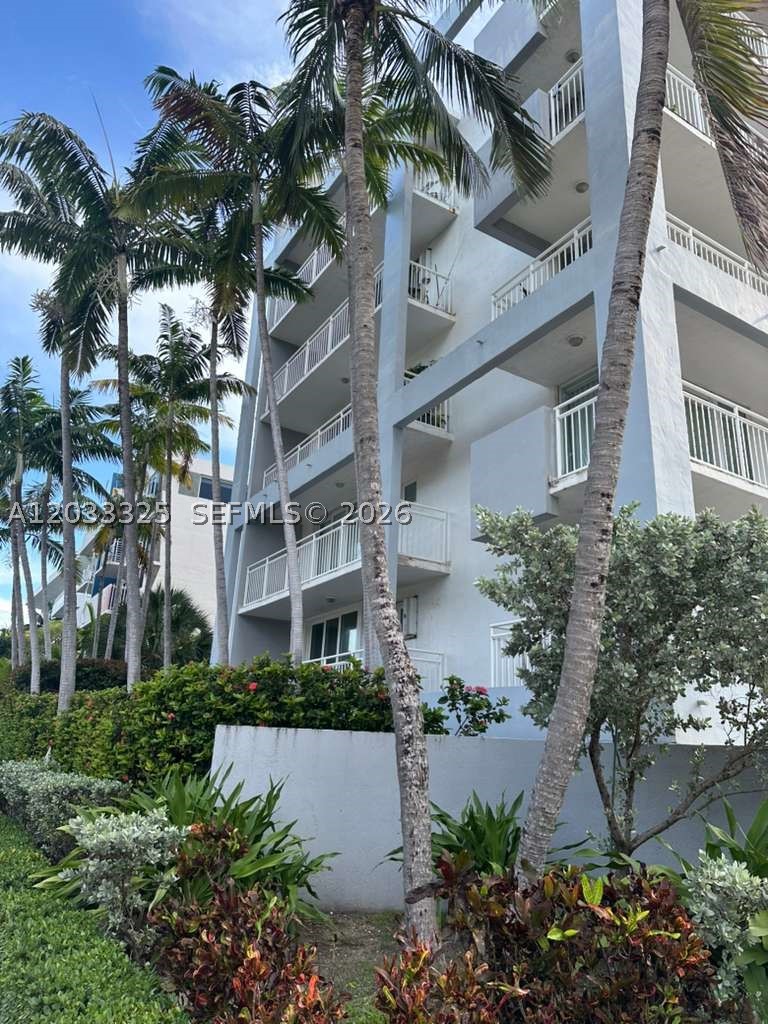 Miami Beach photo 4