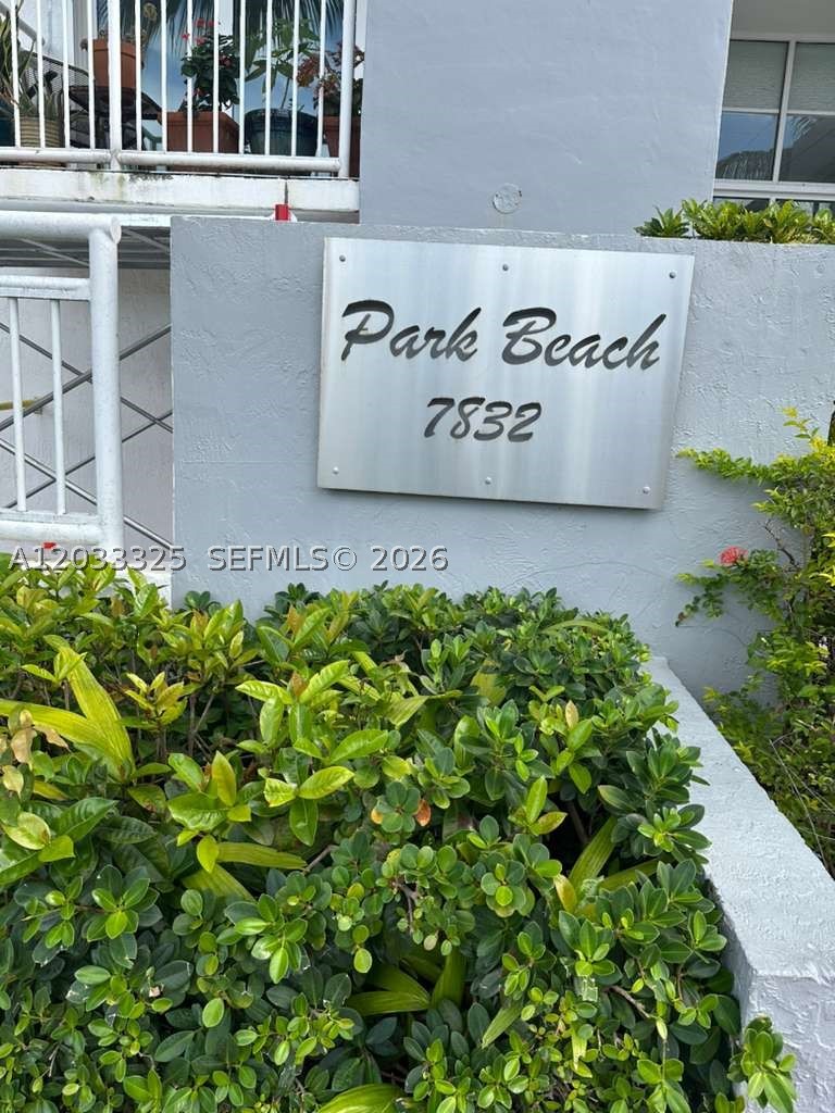Miami Beach photo 5