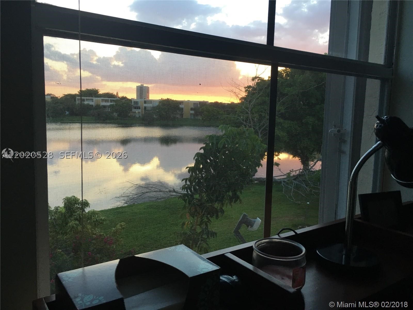 Miami photo 2