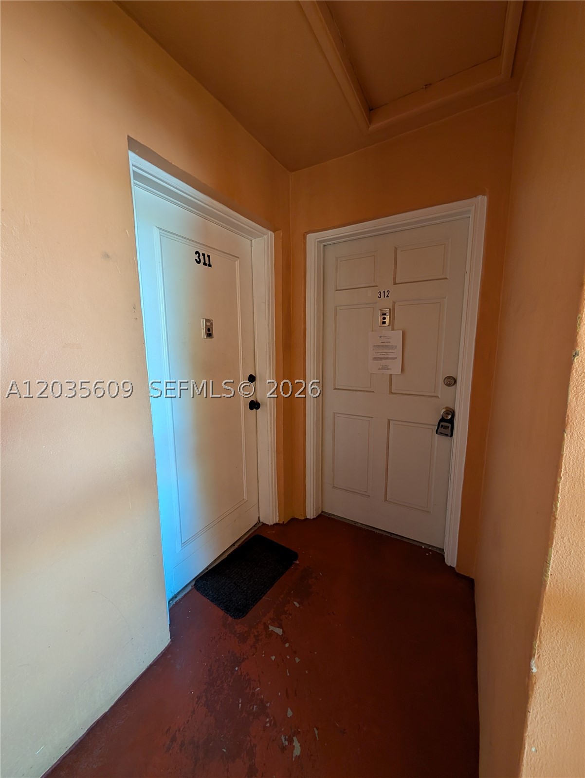 Miami photo 4