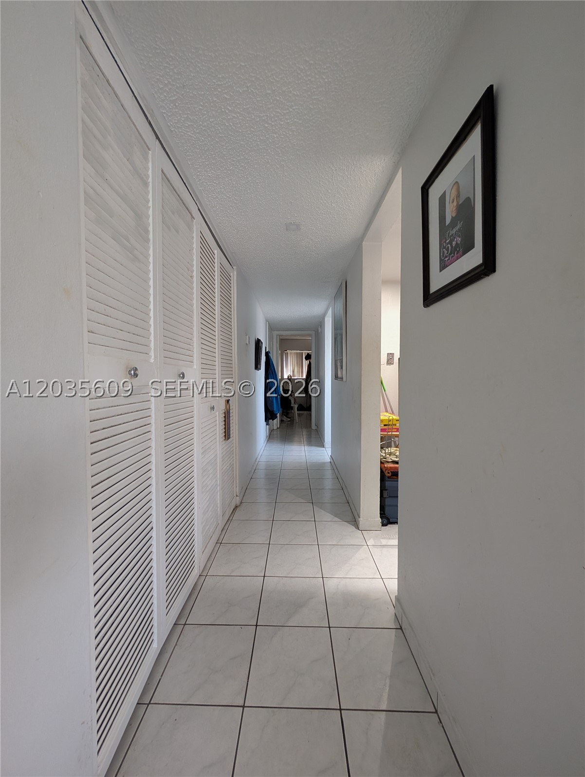 Miami photo 5