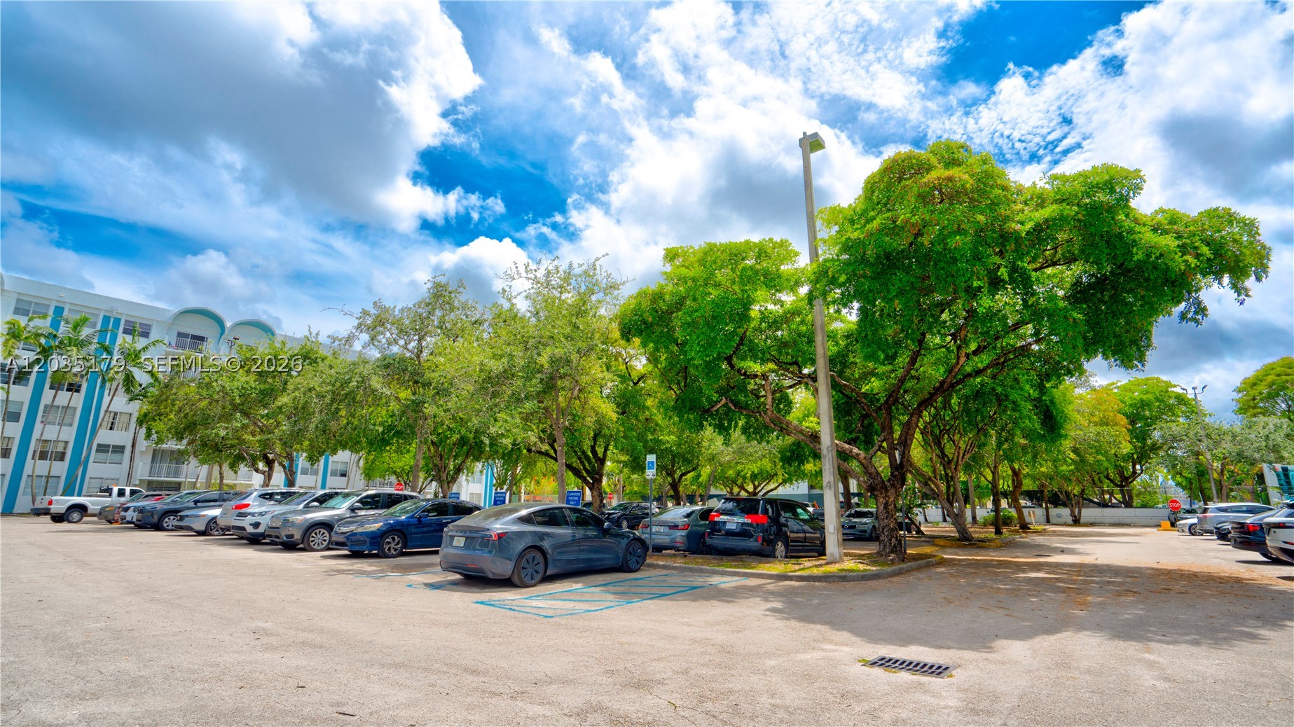 Miami photo 1