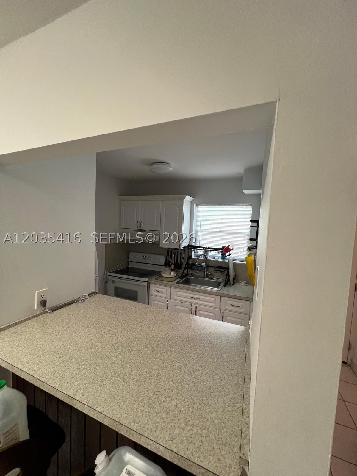 North Miami photo 3