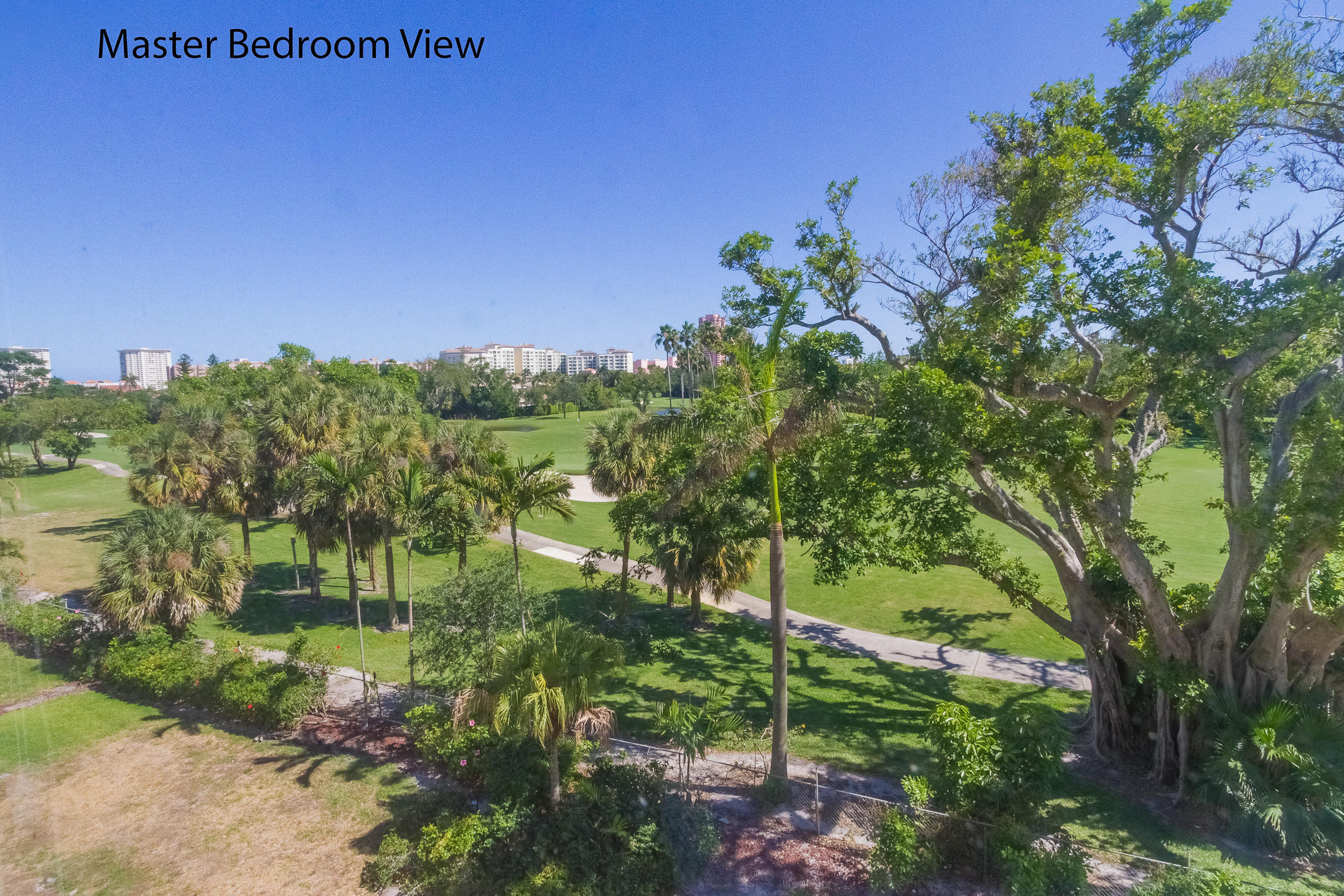 Boca Raton photo 3