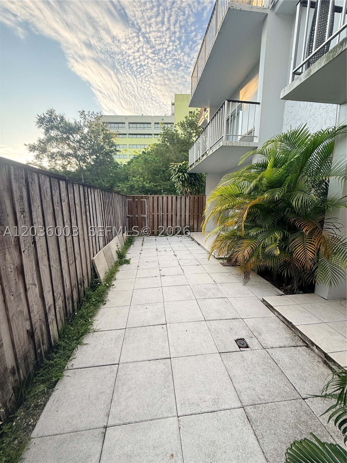 Miami photo 5