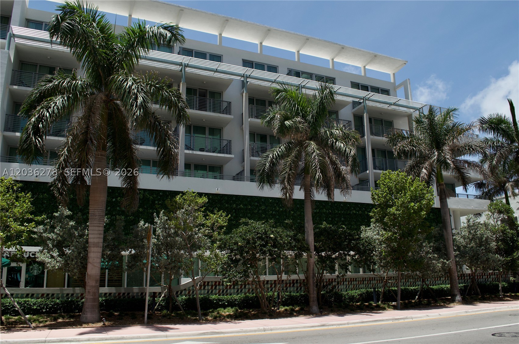 Miami Beach photo 2