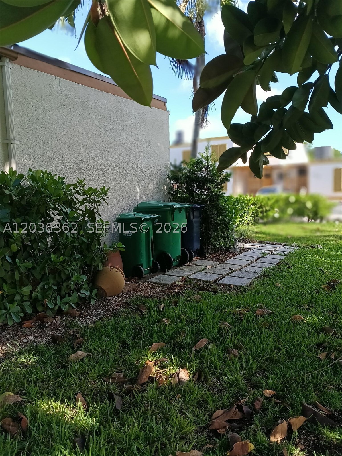 Miami photo 5
