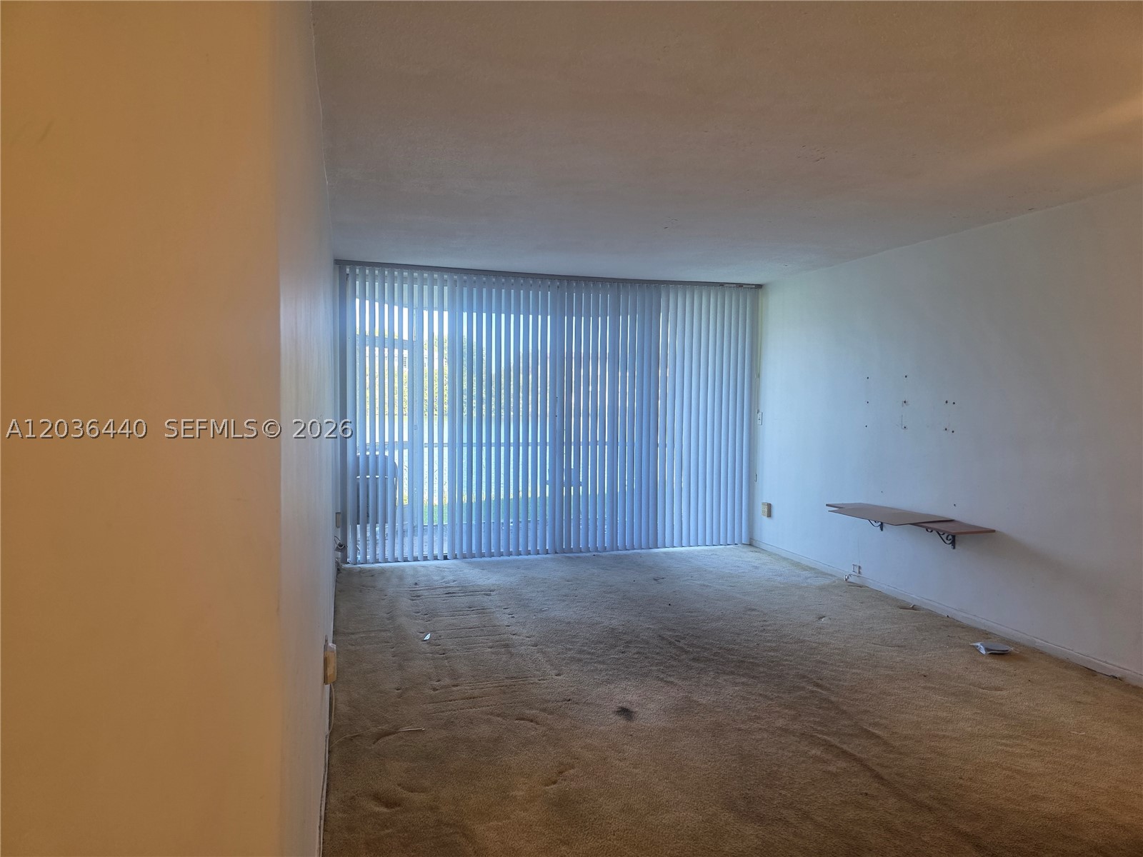 Miami photo 3