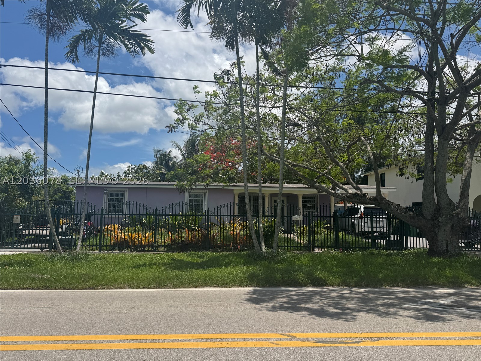 Miami photo 3
