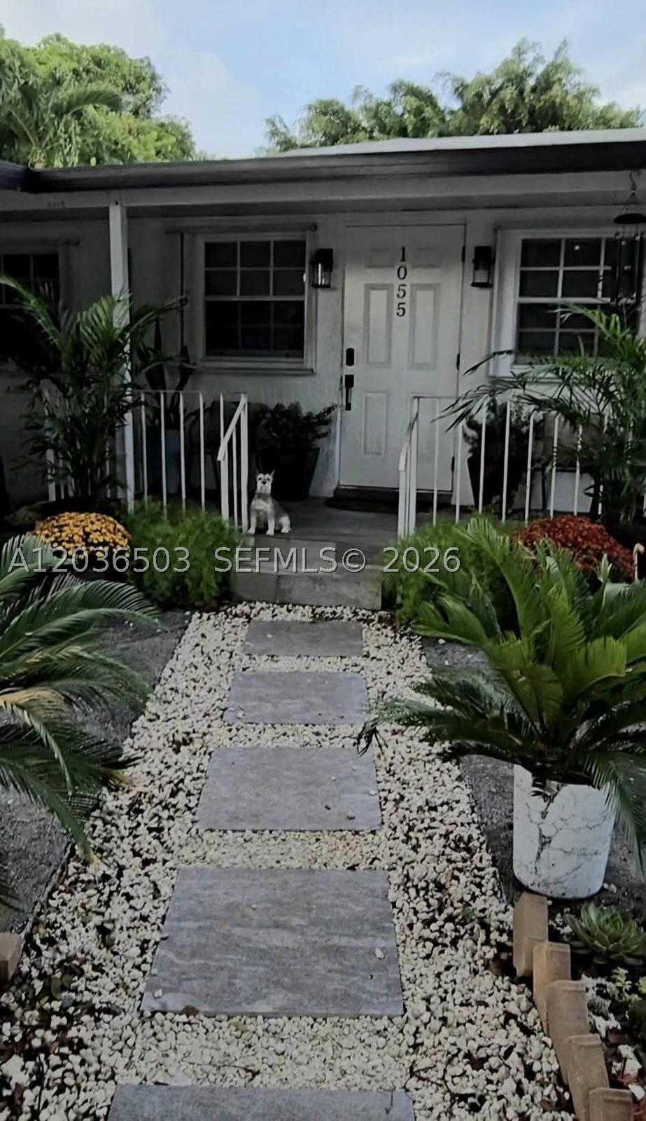 Miami photo 1
