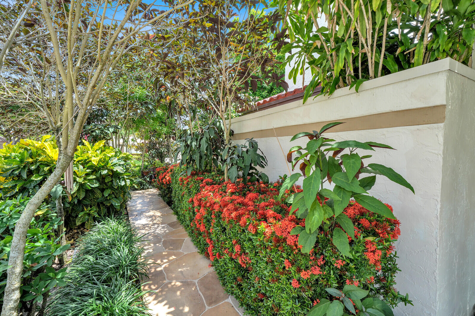Boca Raton photo 4