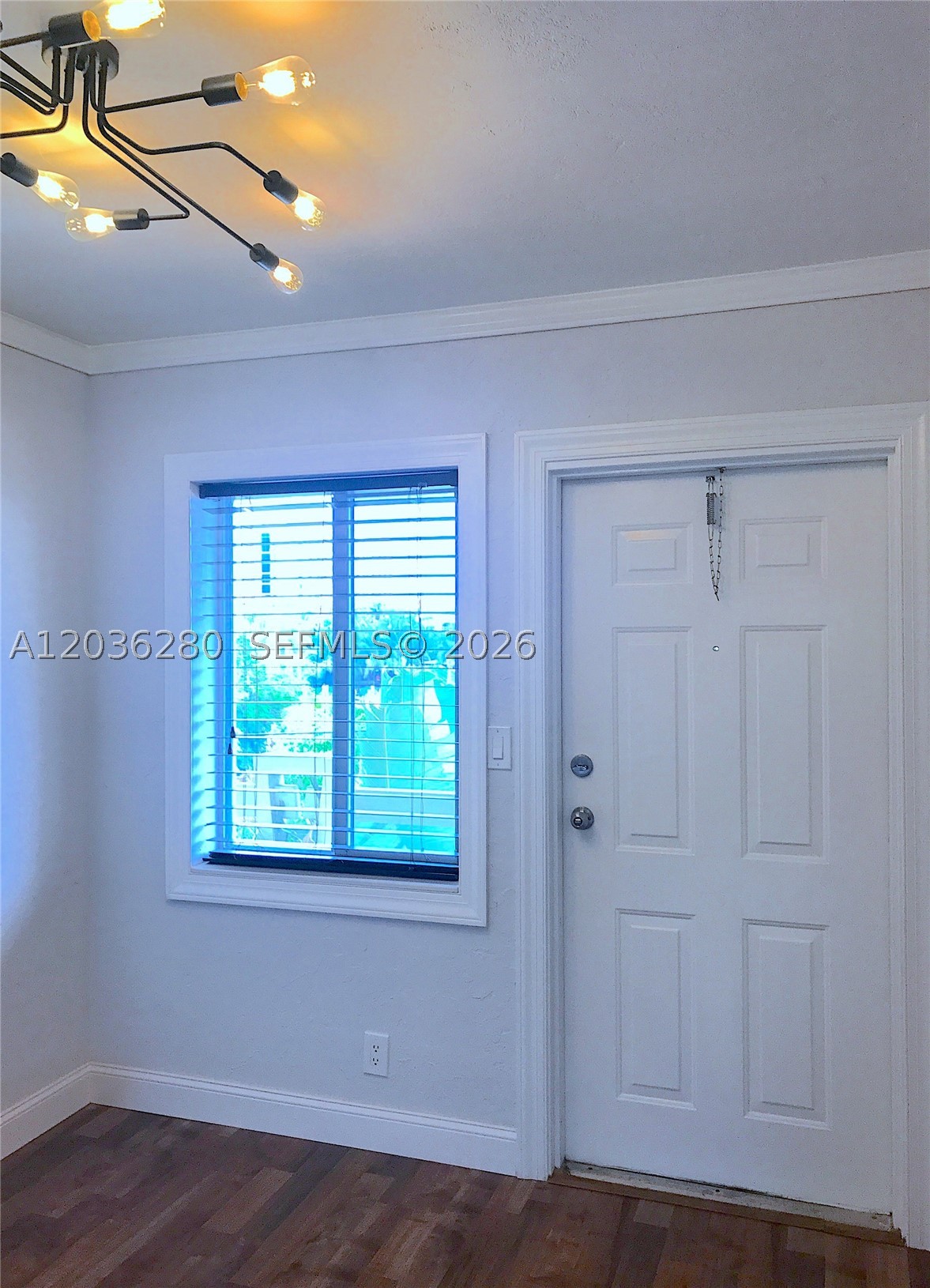 Fort Lauderdale photo 5
