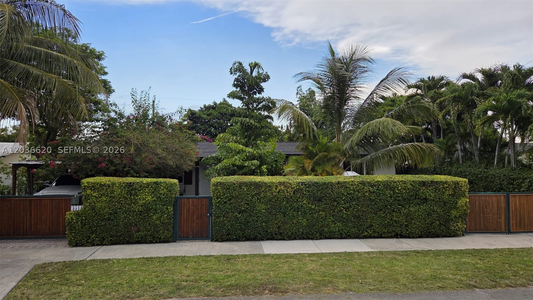 Miami photo 1