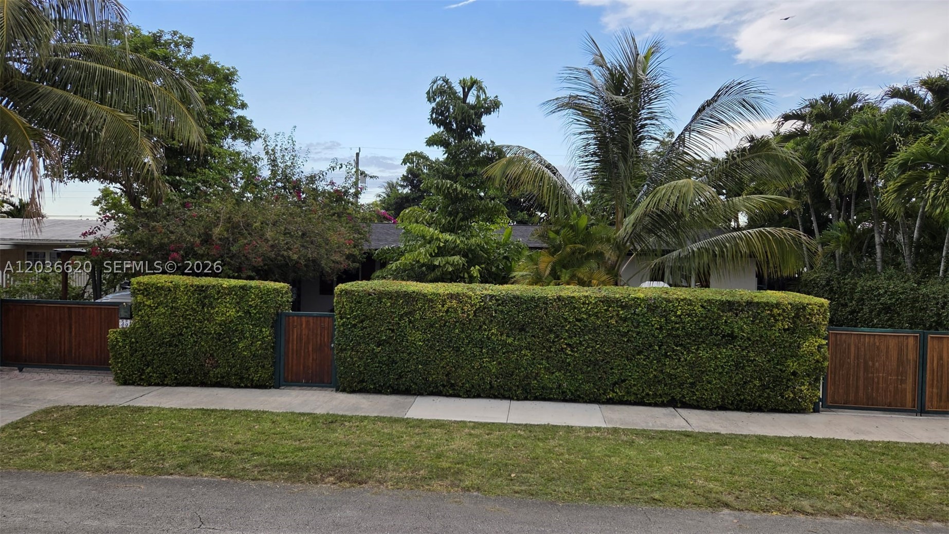 Miami photo 3