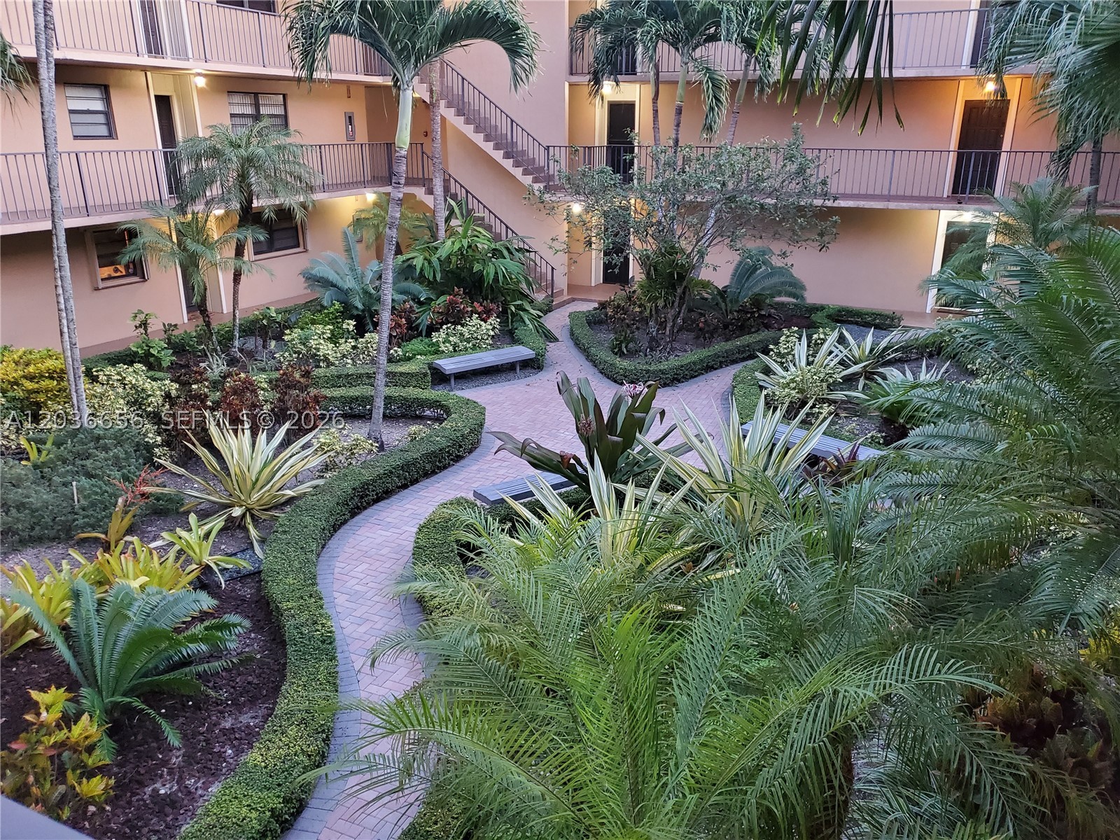 Miami photo 2