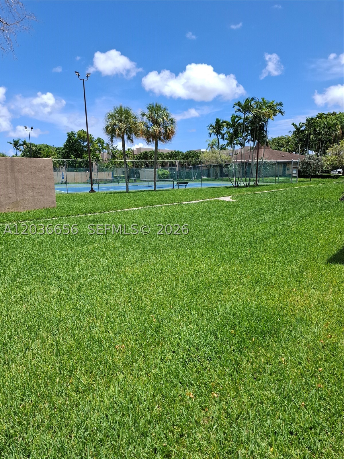 Miami photo 5