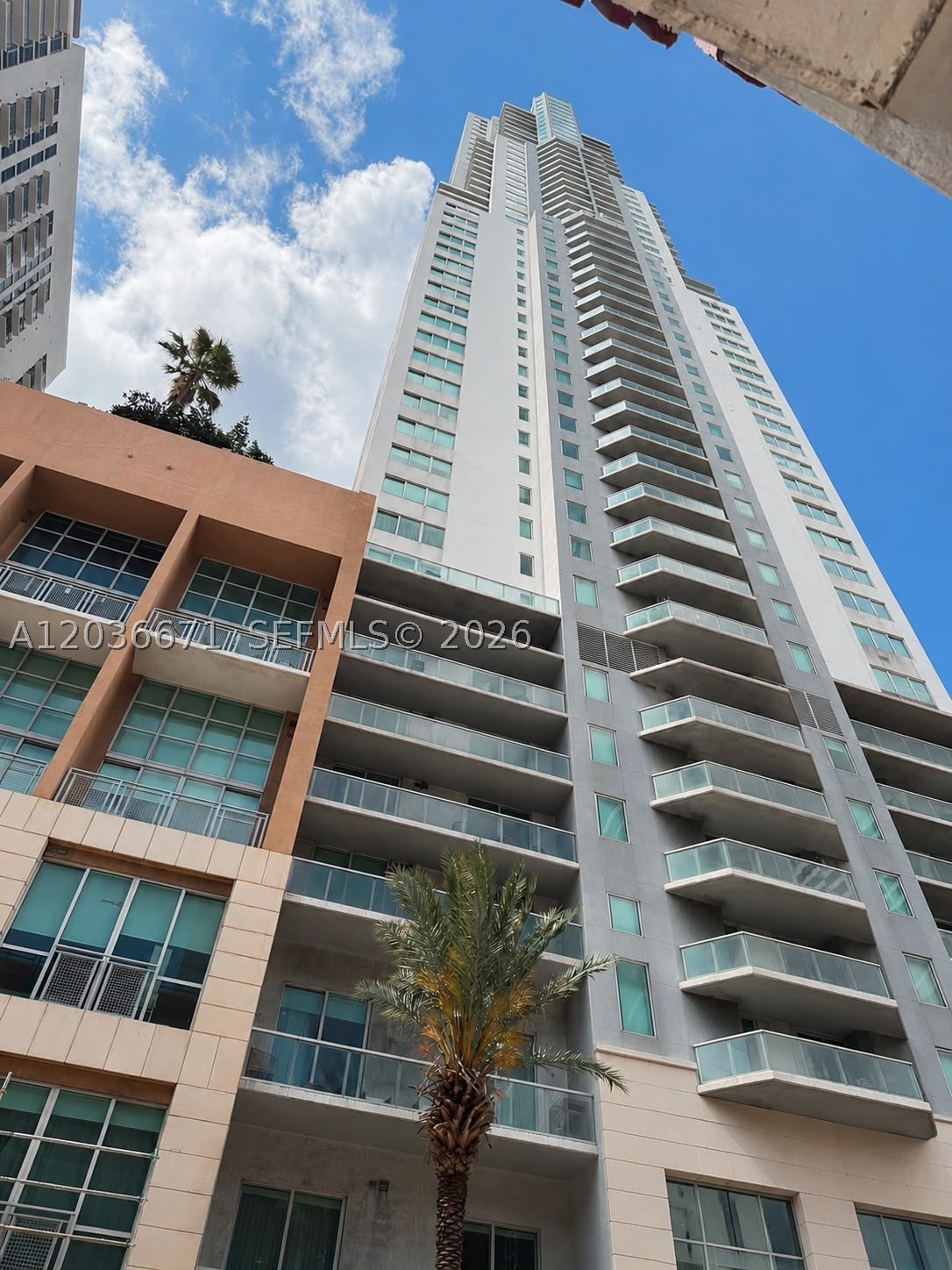 Miami photo 1