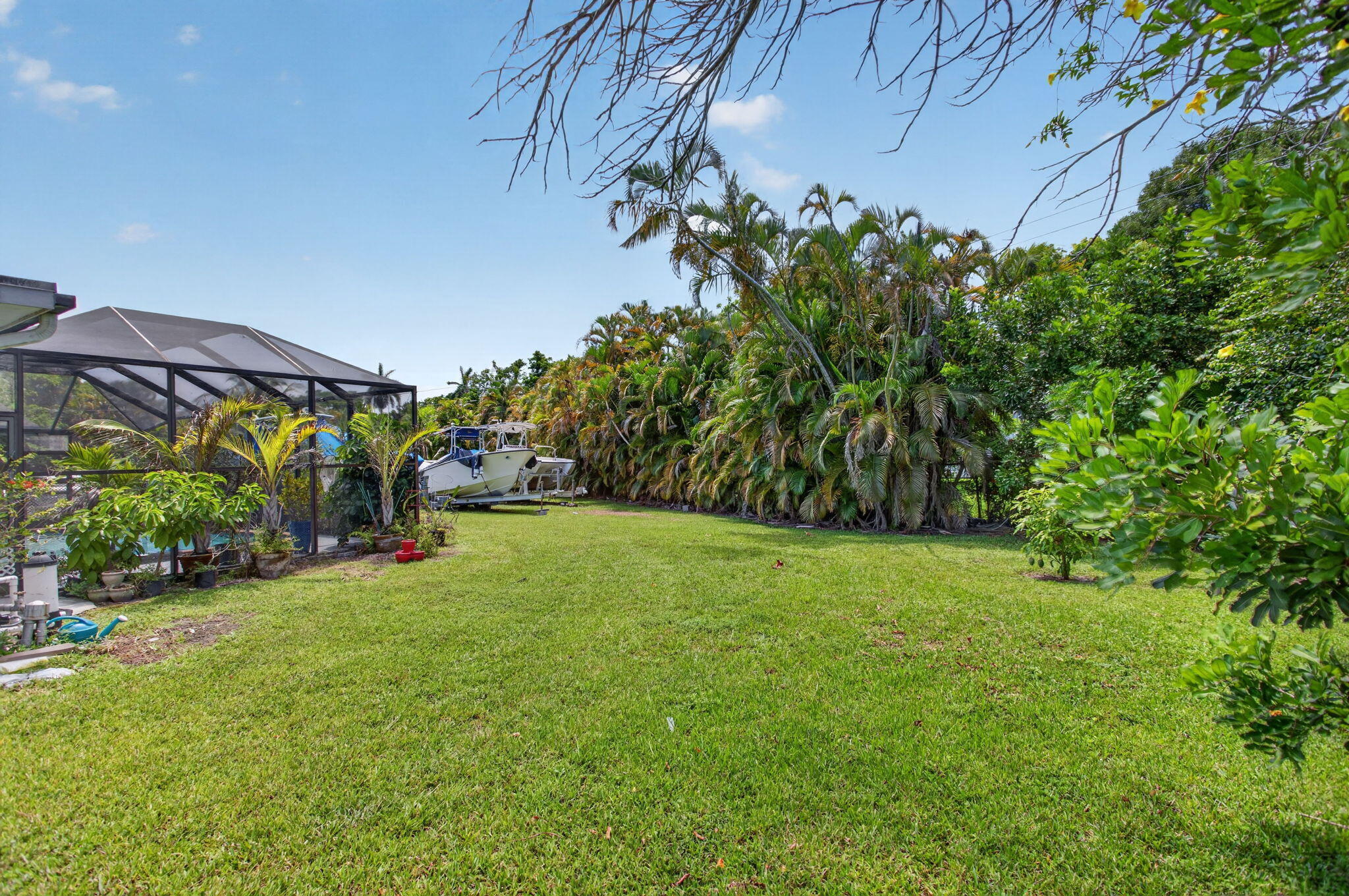 Plantation photo 4