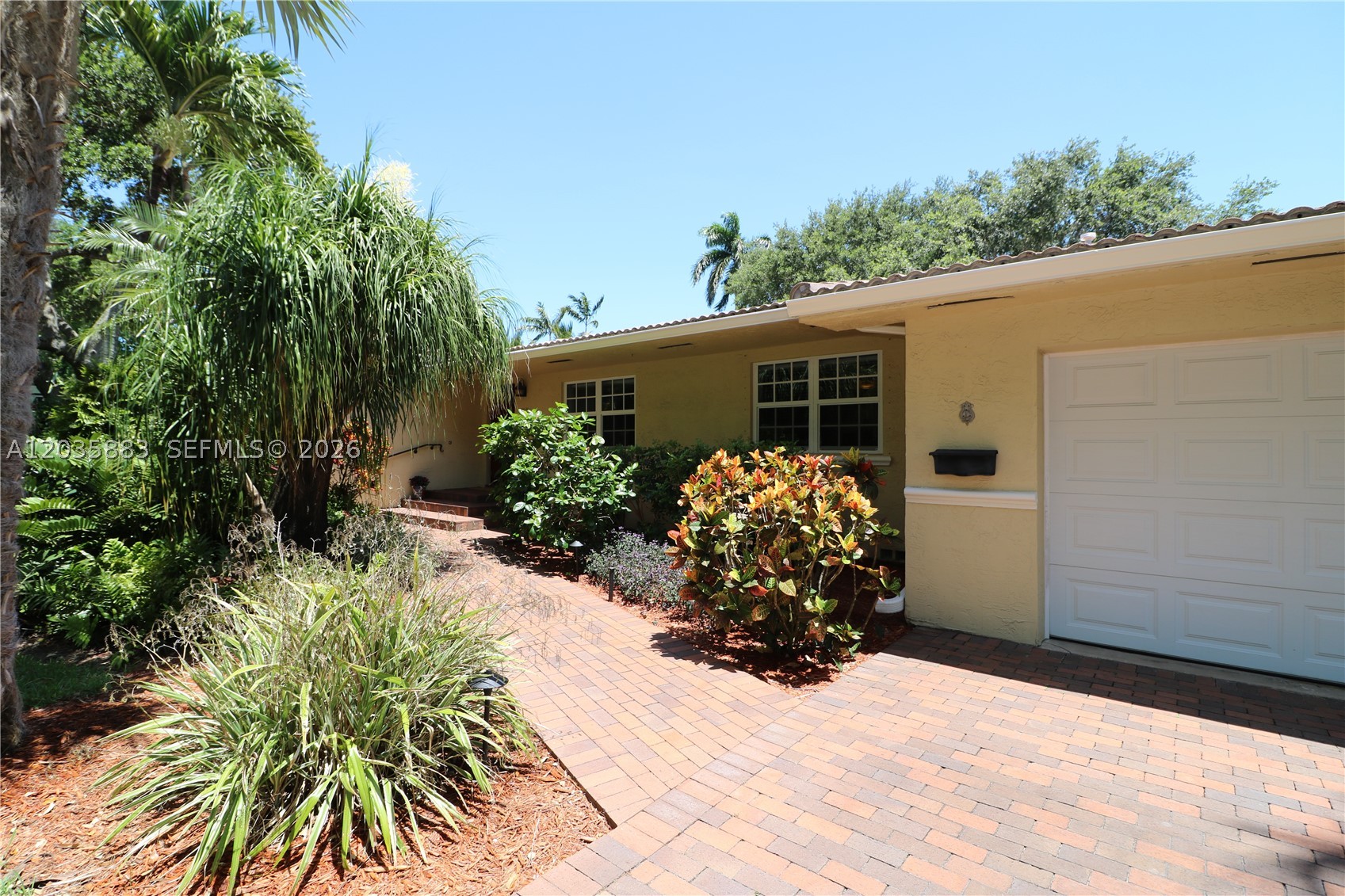 South Miami photo 3