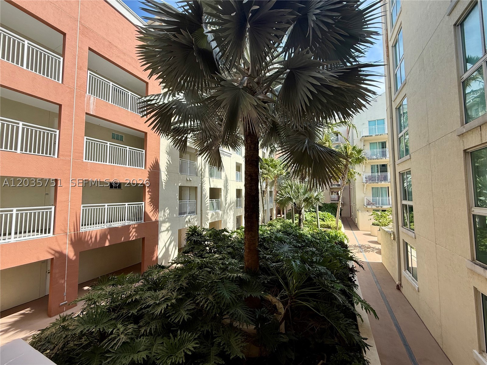 Miami photo 3