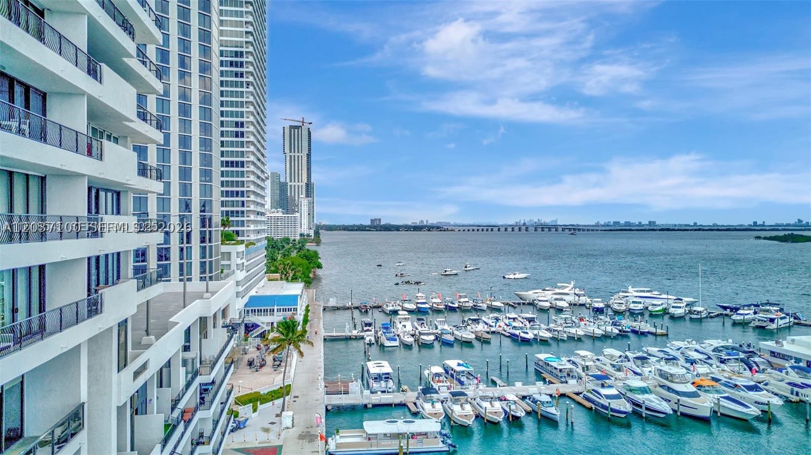 Miami photo 4