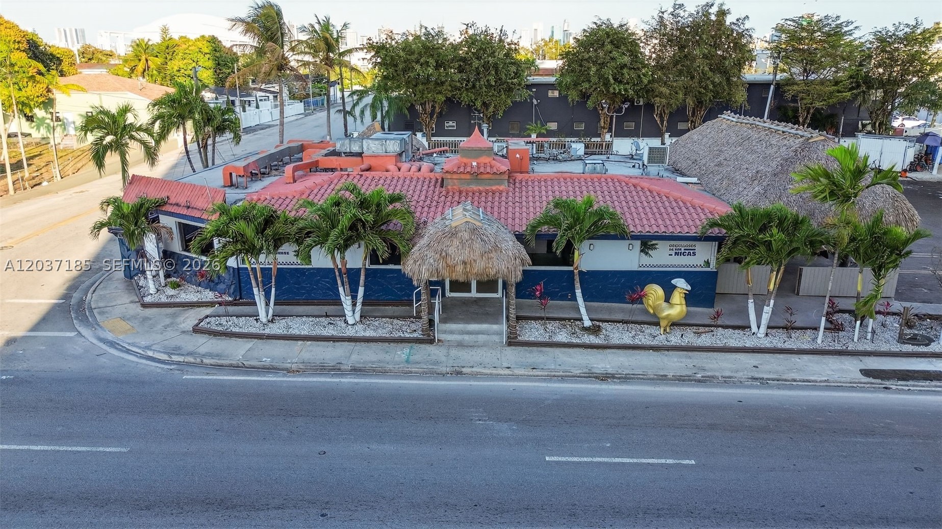 Miami photo 3