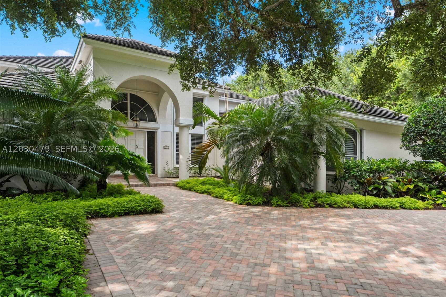 Pinecrest photo 3