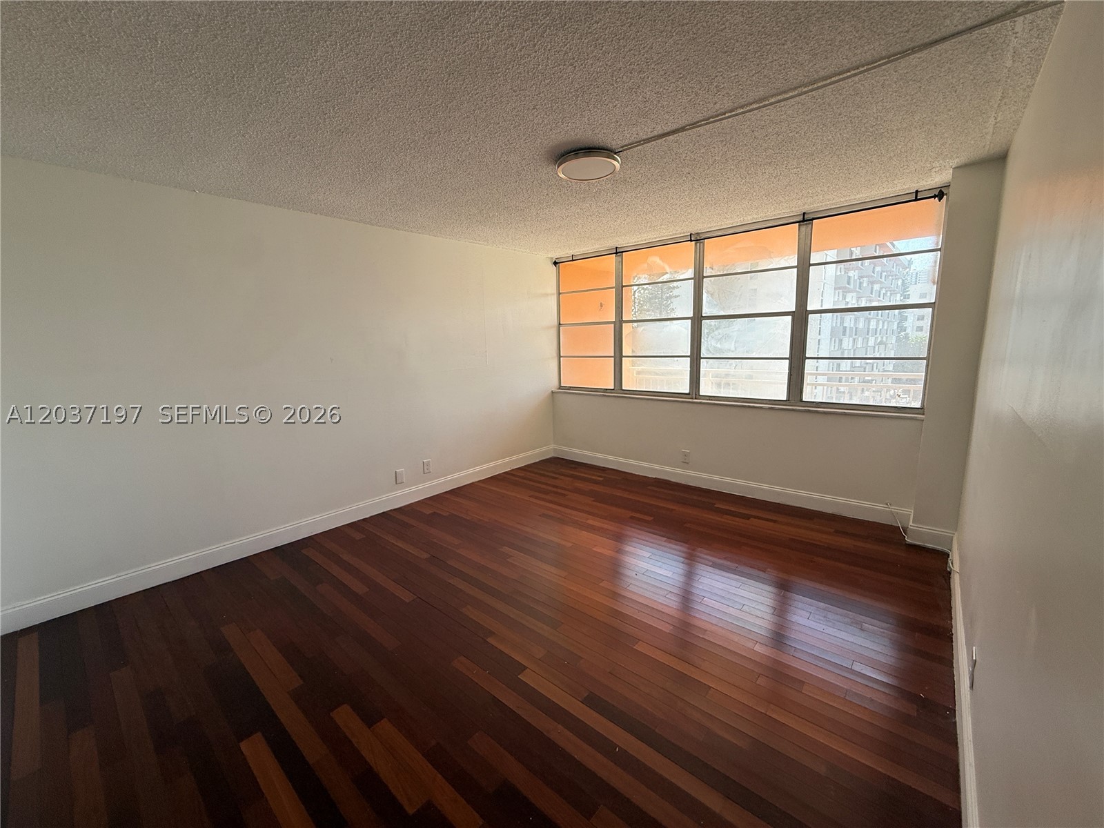 North Miami Beach photo 5