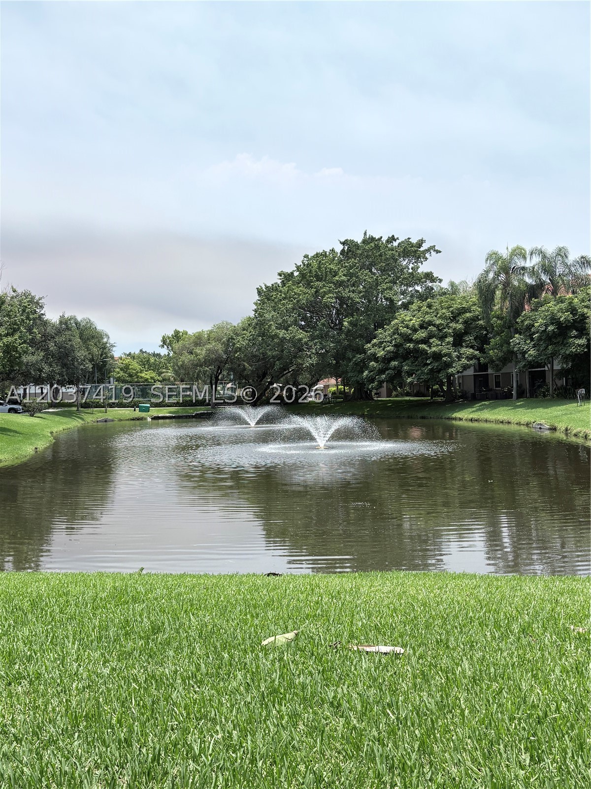 Plantation photo 2