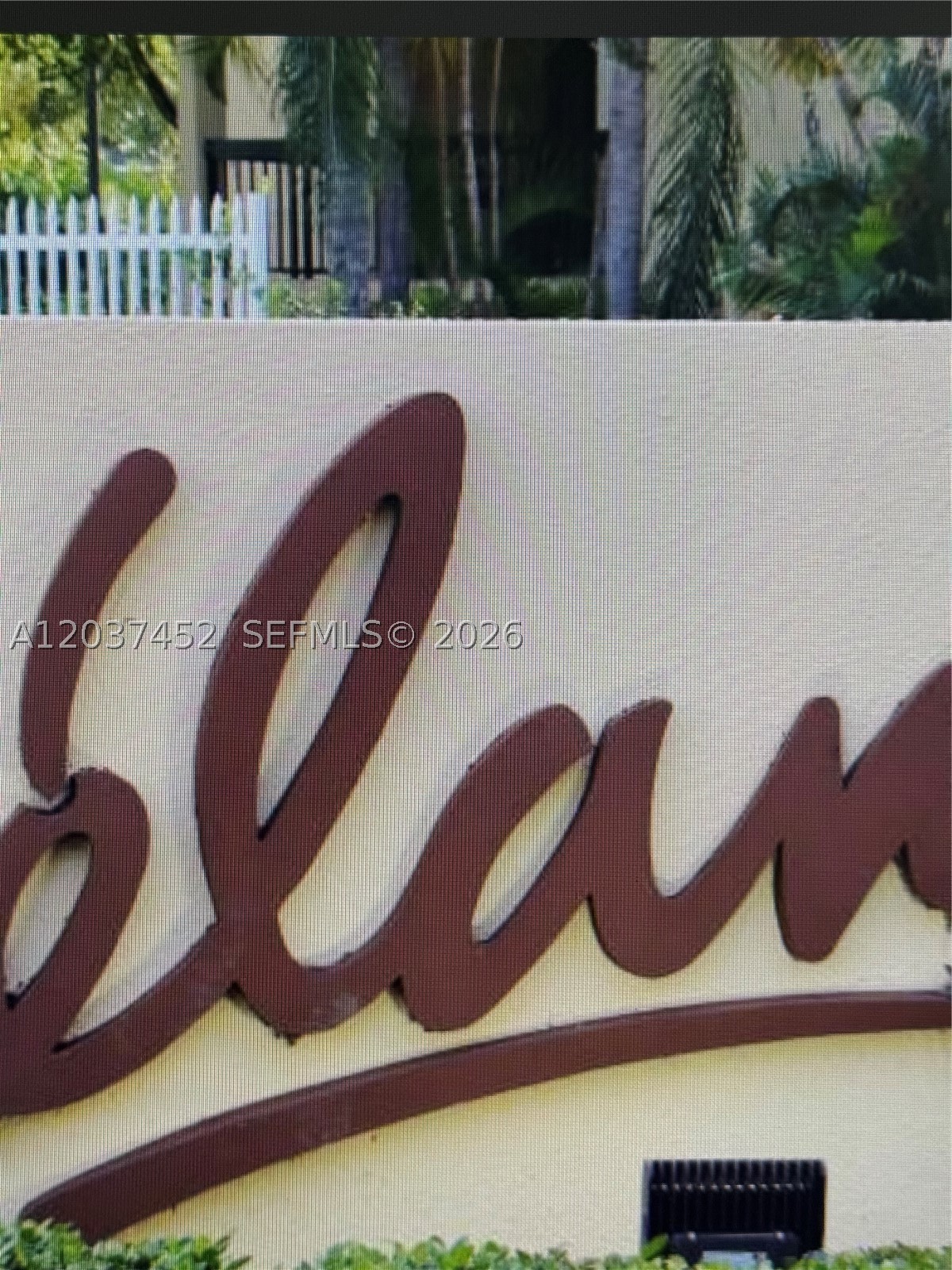 Miami photo 4