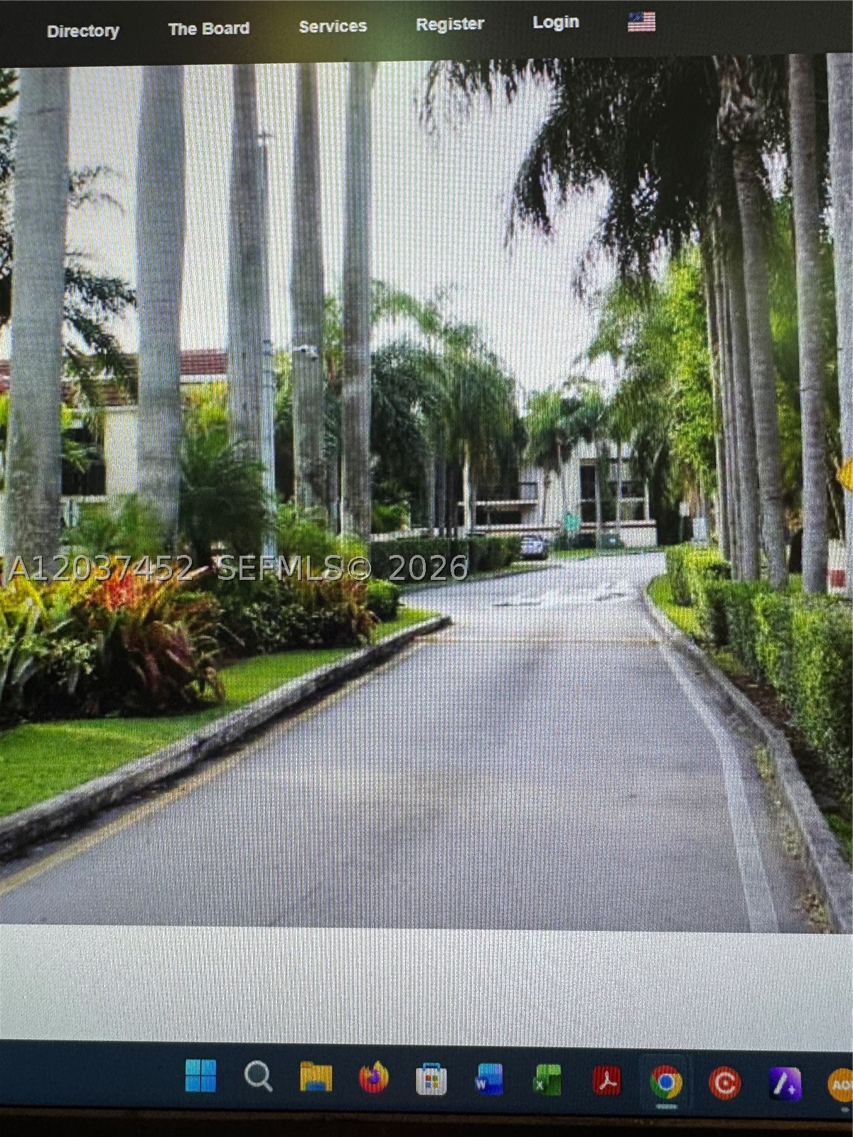 Miami photo 5